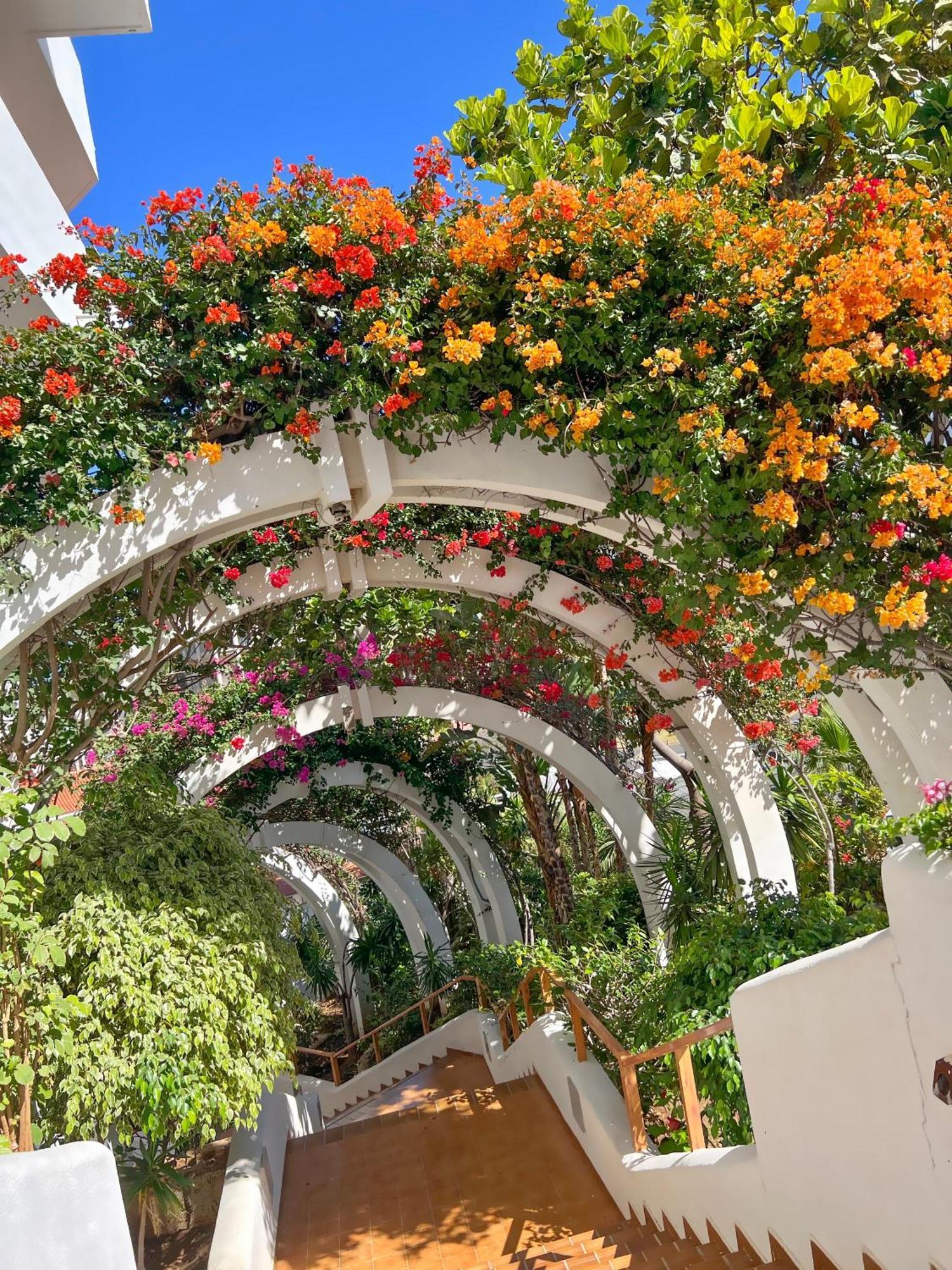 Tenerife Paradise Anna Studio Costa Adeje  Kültér fotó